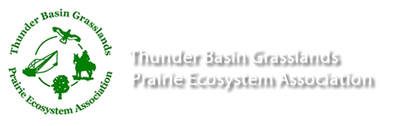 thunderbasin-logo